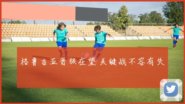 格鲁吉亚晋级在望 关键战不容有失