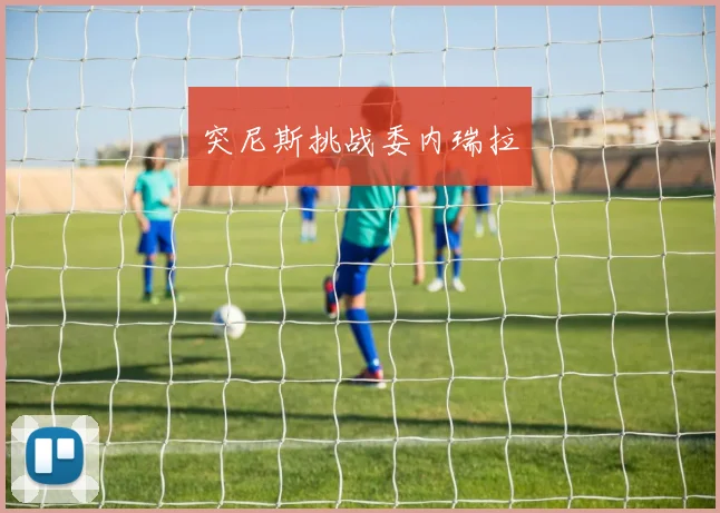 突尼斯挑战委内瑞拉