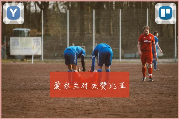 爱尔兰对决赞比亚