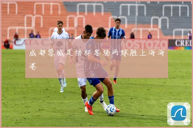 成都蓉城足协杯客场两球胜上海海港