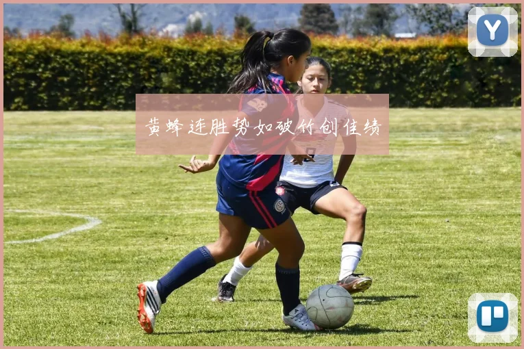 黄蜂连胜势如破竹创佳绩