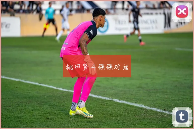桃田贤斗强强对话