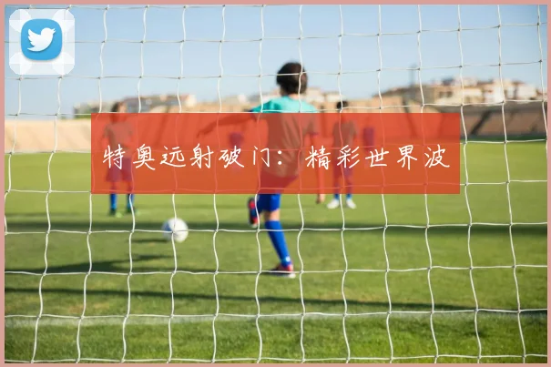 特奥远射破门：精彩世界波