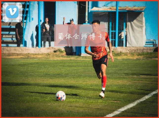葡体会师博卡