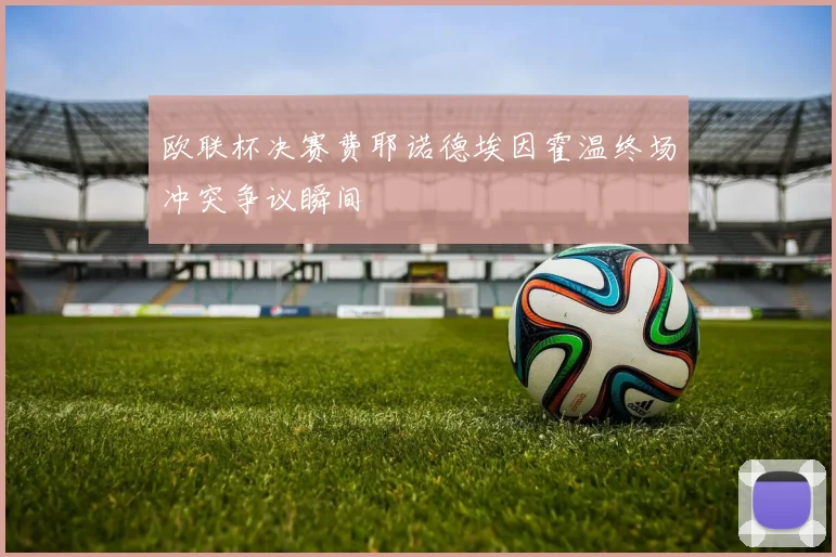 欧联杯决赛费耶诺德埃因霍温终场冲突争议瞬间