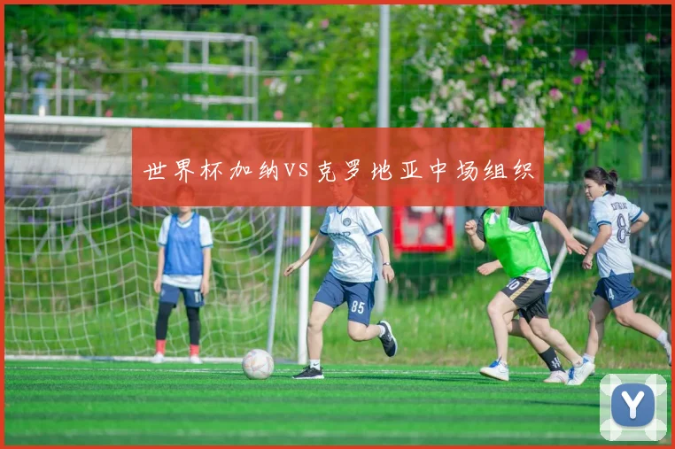 世界杯加纳vs克罗地亚中场组织
