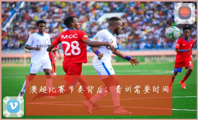 澳超比赛节奏背后：青训需要时间