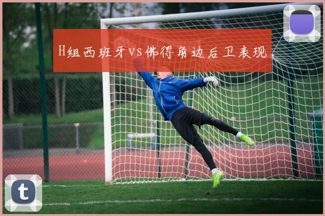 H组西班牙vs佛得角边后卫表现